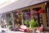 imgi 21 AF1QipO18lyNwqBmMH3vyy 6idDJucjldU BAwKVjaKXs558 k no