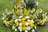 imgi 34 AC9h4noT0O8CNaQQJA3mbcrufvaQqktpMP1qdGzSSHyV7QXTQtfl3hMBSK QypweS2dKYKN8M8aOWanDb cIVlwDYmEban3Qx7uChxMqdOtDX764ou0EQhHTE8BlYHFAWyF3LuZ9wxwRAws491 k no