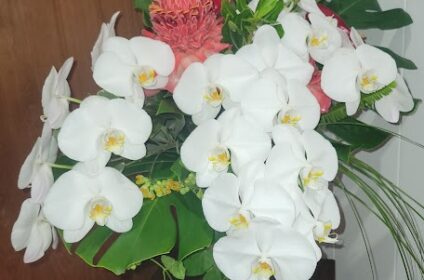 Maui Tropical Flowers